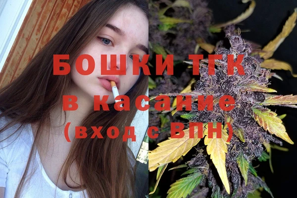 эйфоретик Покачи