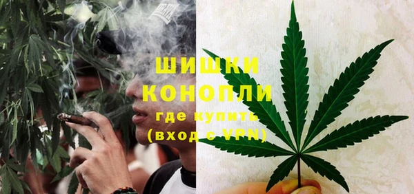 прущие грибы Галич