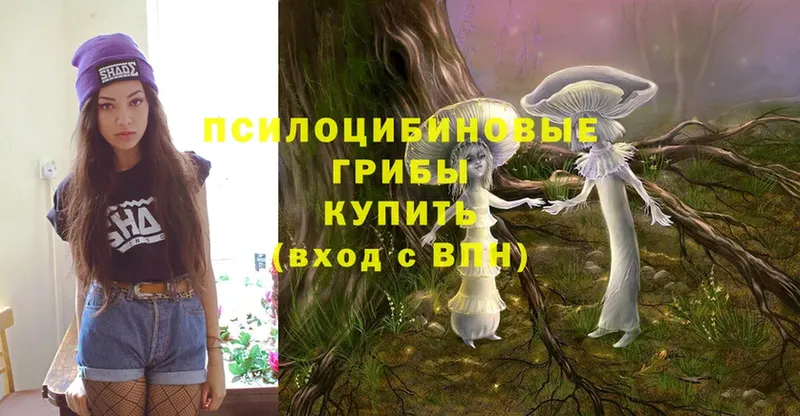 Галлюциногенные грибы Magic Shrooms  Апрелевка 