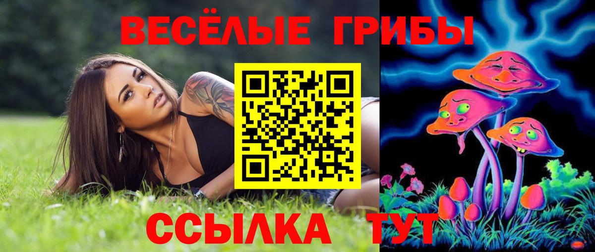Псилоцибиновые грибы MAGIC MUSHROOMS  Вход с VPN  Апрелевка  Галлюциногенные грибы ЛСД 